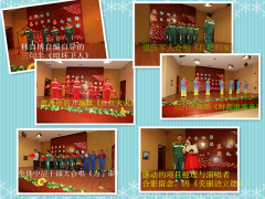 迎新春、贺新年，201