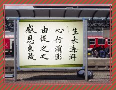 感恩东晟