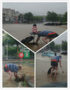 致敬在暴风雨中忙碌的